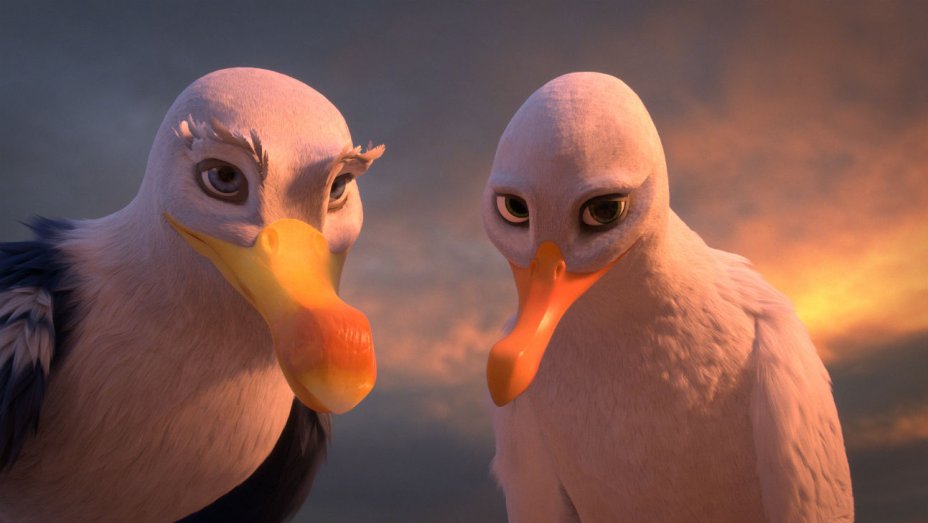 ���� ������� � ����� ���� � ���� ��������